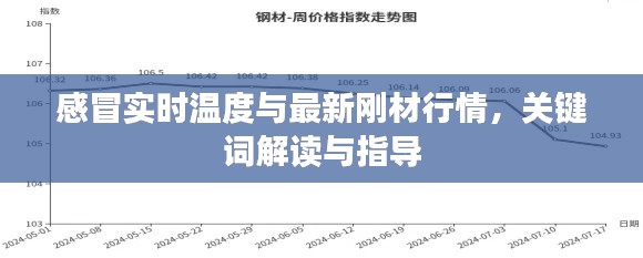 感冒实时温度与最新刚材行情，关键词解读与指导
