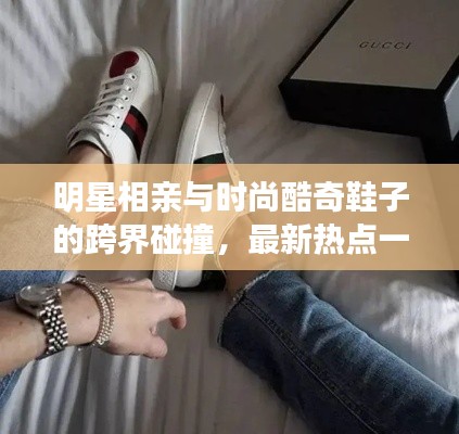 明星相亲与时尚酷奇鞋子的跨界碰撞,最新热点一览