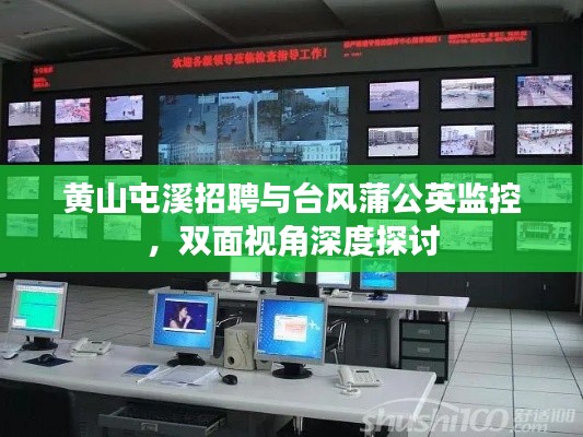 黄山屯溪招聘与台风蒲公英监控,双面视角深度探讨