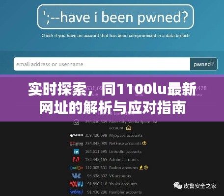 实时探索,同1100lu最新网址的解析与应对指南