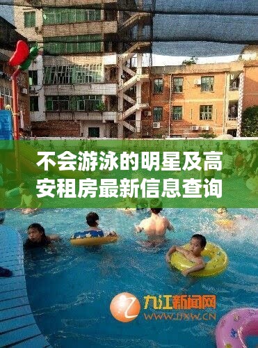 不会游泳的明星及高安租房最新信息查询