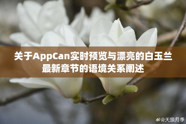 关于AppCan实时预览与漂亮的白玉兰最新章节的语境关系阐述