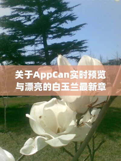 关于AppCan实时预览与漂亮的白玉兰最新章节的语境关系阐述