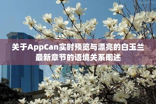 关于AppCan实时预览与漂亮的白玉兰最新章节的语境关系阐述