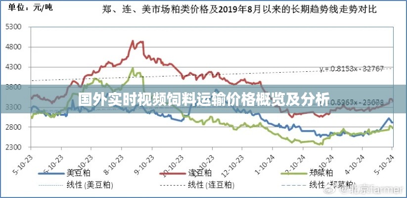 国外实时视频饲料运输价格概览及分析
