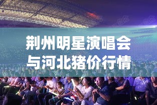 荆州明星演唱会与河北猪价行情资讯