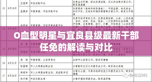 O血型明星与宜良县级最新干部任免的解读与对比