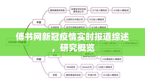 傅书网新冠疫情实时报道综述,研究概览
