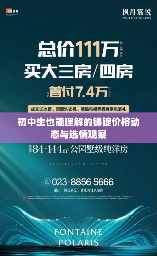 初中生也能理解的锑锭价格动态与选情观察