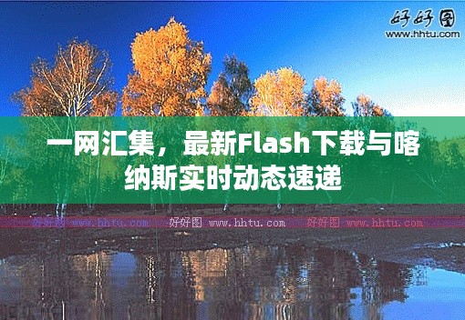 一网汇集,最新Flash下载与喀纳斯实时动态速递