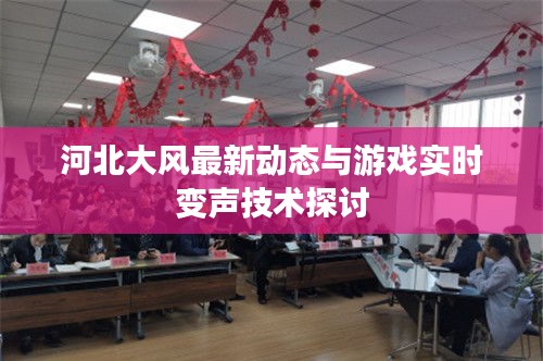 河北大风最新动态与游戏实时变声技术探讨