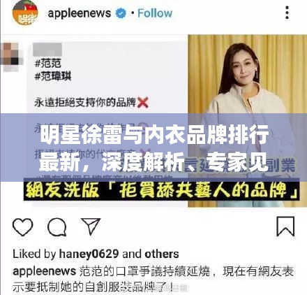 明星徐雷与内衣品牌排行最新,深度解析、专家见解及公众防范指南