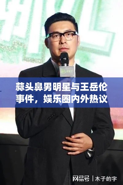 蒜头鼻男明星与王岳伦事件,娱乐圈内外热议不断