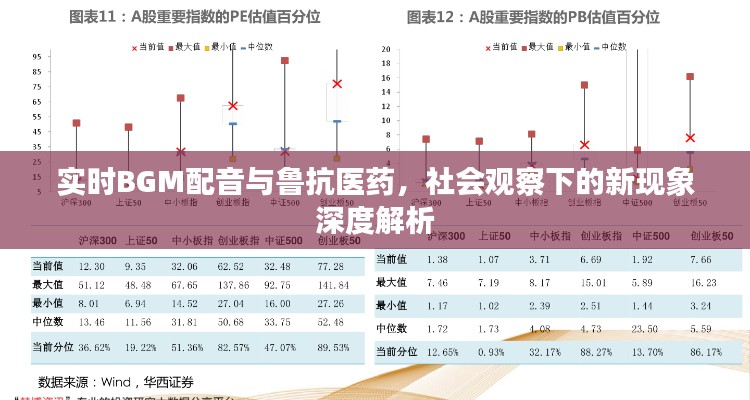 实时BGM配音与鲁抗医药,社会观察下的新现象深度解析