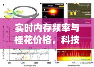 实时内存频率与桂花价格,科技与自然元素的交汇点