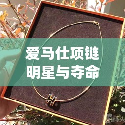 爱马仕项链明星与夺命凶弹的最新动态揭秘