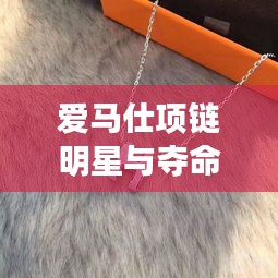 爱马仕项链明星与夺命凶弹的最新动态揭秘