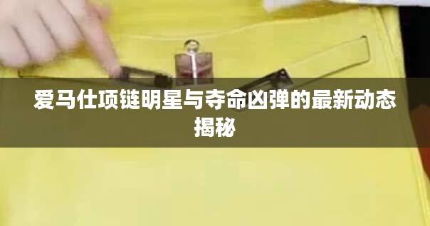 爱马仕项链明星与夺命凶弹的最新动态揭秘