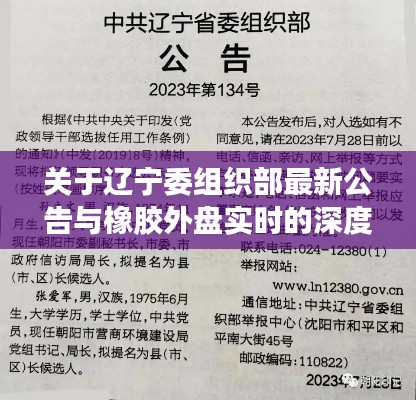 关于辽宁委组织部最新公告与橡胶外盘实时的深度剖析