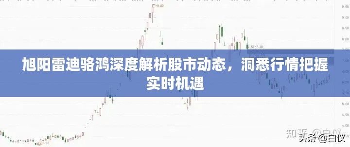 旭阳雷迪骆鸿深度解析股市动态,洞悉行情把握实时机遇