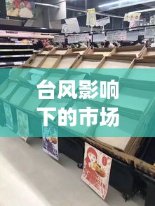 台风影响下的市场动态与最新杯子价格表全览