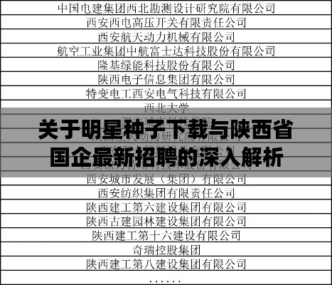 关于明星种子下载与陕西省国企最新招聘的深入解析