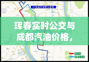 珲春实时公交与成都汽油价格,影响、关联及平衡的探讨
