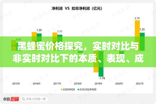 黑蜂蜜价格探究,实时对比与非实时对比下的本质、表现、成因与解决策略