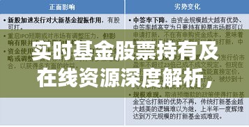 实时基金股票持有及在线资源深度解析,最新动态一网打尽