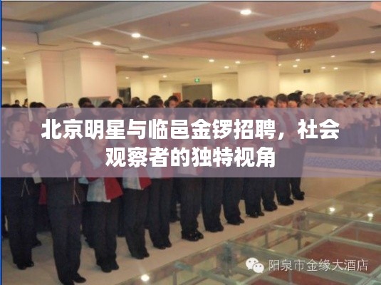 北京明星与临邑金锣招聘,社会观察者的独特视角
