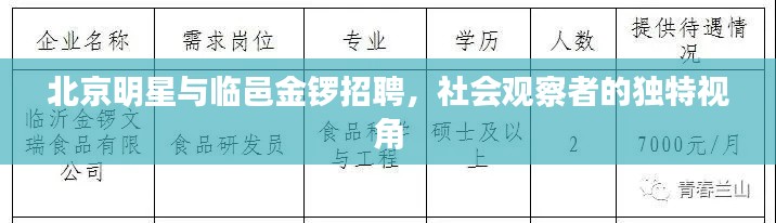 北京明星与临邑金锣招聘,社会观察者的独特视角