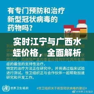 实时江宁与广西水蛭价格,全面解析、专家解读与防范虚假宣传