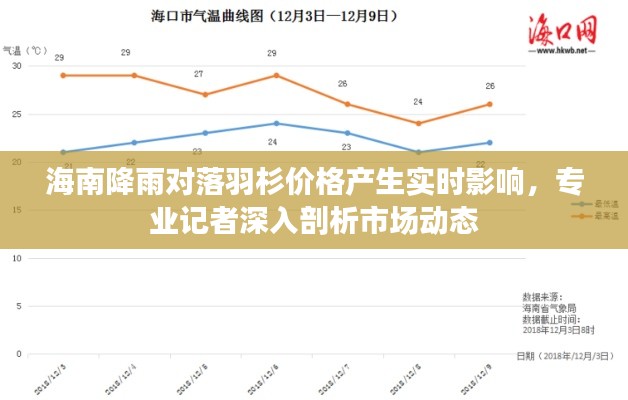 海南降雨对落羽杉价格产生实时影响,专业记者深入剖析市场动态