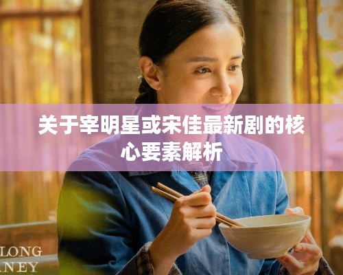 关于宰明星或宋佳最新剧的核心要素解析