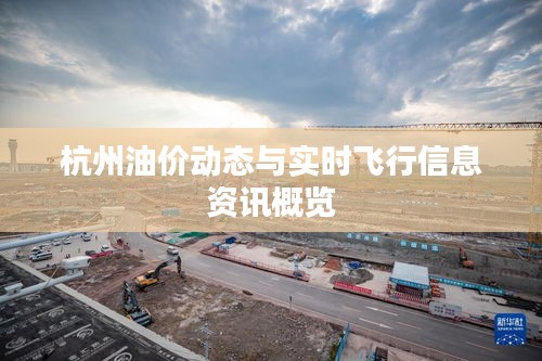 杭州油价动态与实时飞行信息资讯概览