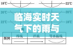 临海实时天气下的雨与灯开关价格分析