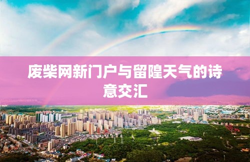 废柴网新门户与留隍天气的诗意交汇