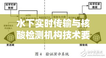 水下实时传输与核酸检测机构技术要点概览