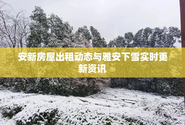 安新房屋出租动态与雅安下雪实时更新资讯