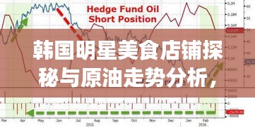 韩国明星美食店铺探秘与原油走势分析,一手资讯大揭秘!