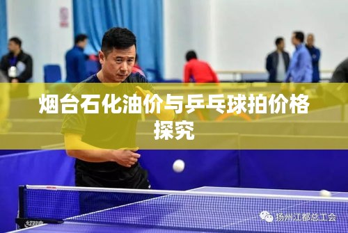 烟台石化油价与乒乓球拍价格探究