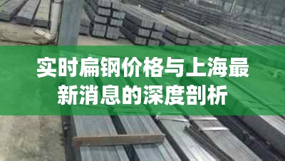 实时扁钢价格与上海最新消息的深度剖析