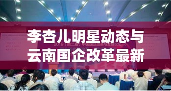 李杏儿明星动态与云南国企改革最新进展报道