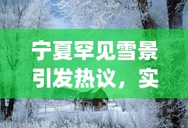 宁夏罕见雪景引发热议，实时画面成新话题焦点