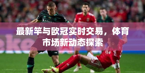 最新竿与欧冠实时交易,体育市场新动态探索