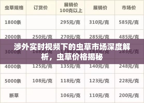 涉外实时视频下的虫草市场深度解析,虫草价格揭秘