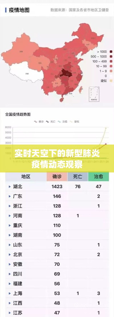 实时天空下的新型肺炎疫情动态观察