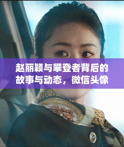 赵丽颖与攀登者背后的故事与动态,微信头像背后的最新消息揭秘