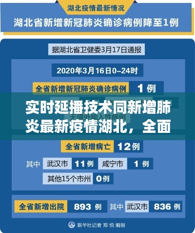 实时延播技术同新增肺炎最新疫情湖北,全面解析与应对