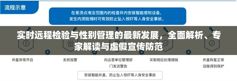 实时远程检验与性别管理的最新发展,全面解析、专家解读与虚假宣传防范